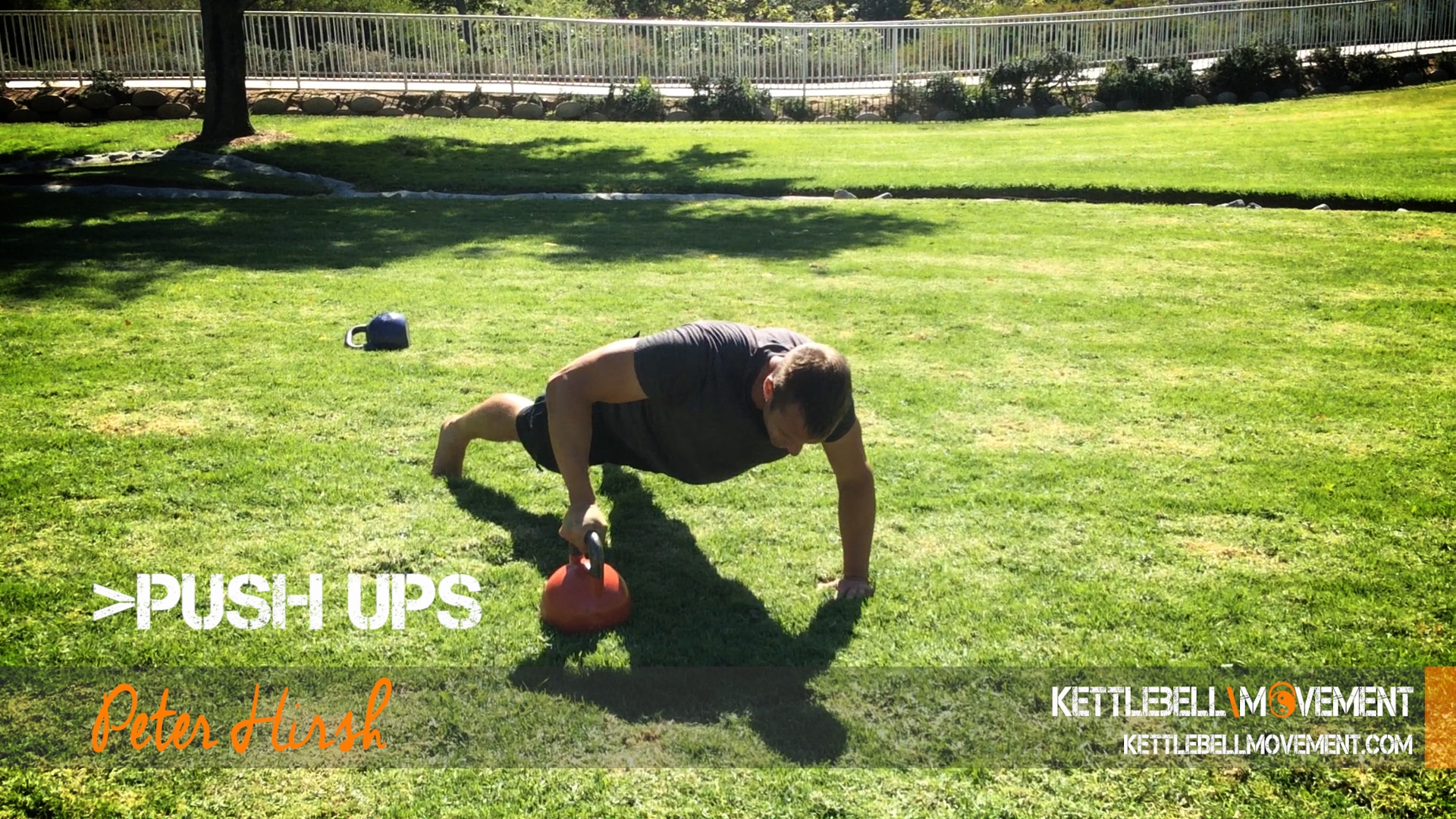 Push Up Progressions