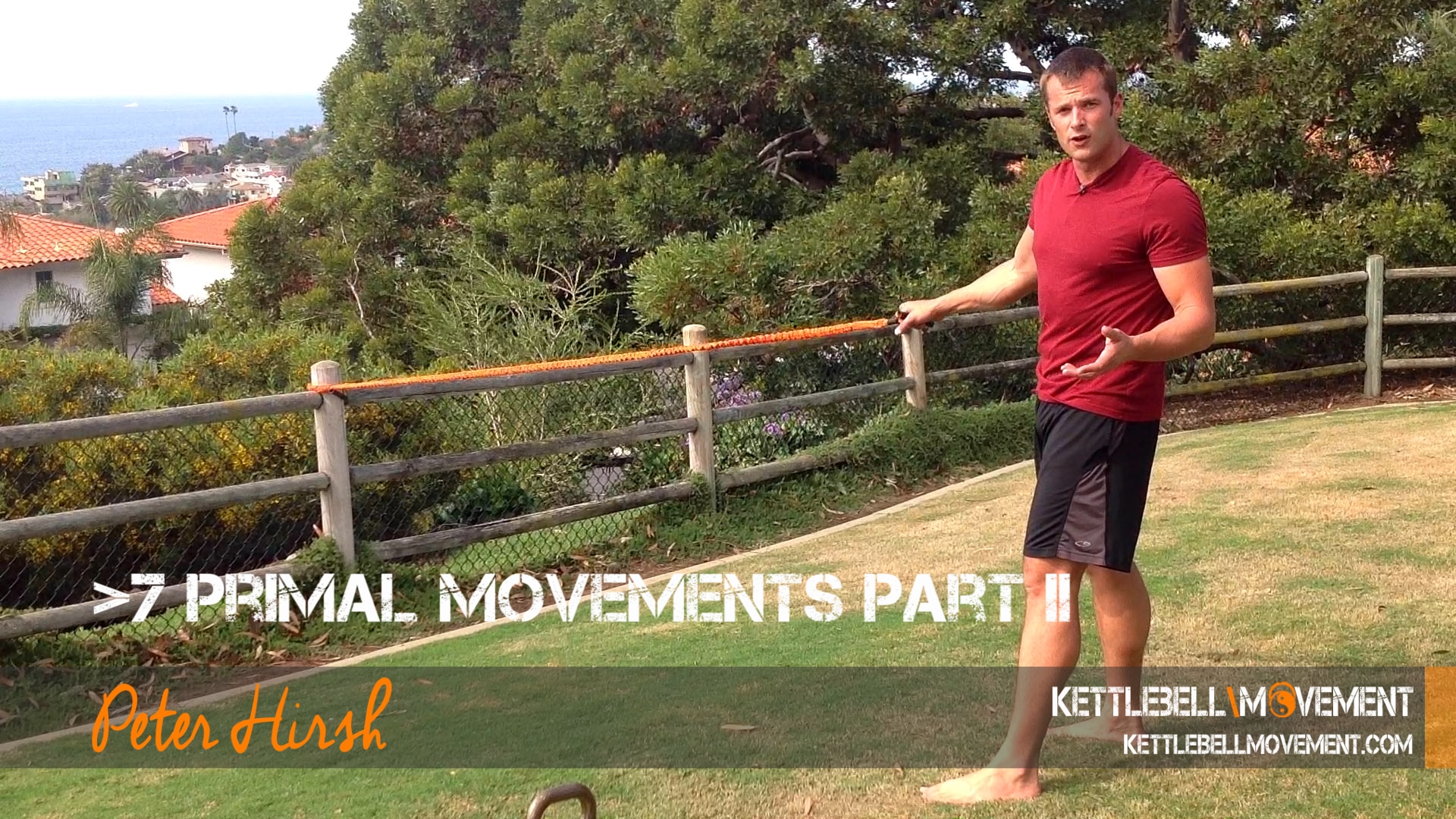 Primal Movements 2